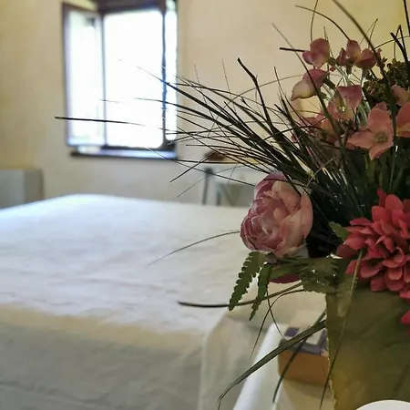 Rosa Villa Montefalco